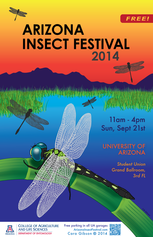 Poster illustration with Micrathyria hagenii (Odonata: Libellulidae) to announce the 2014 AZ Insect Festival. Artwork: Cara Gibson