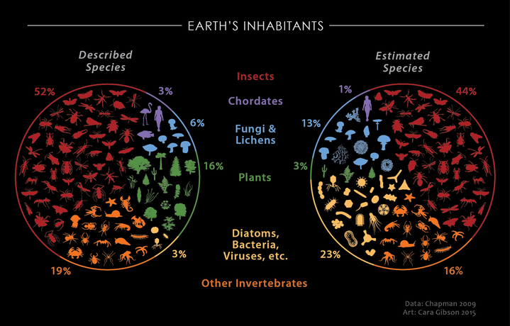 Described and estimated biodiversity of organisms on Earth. Data Visualization by Cara Gibson 2015